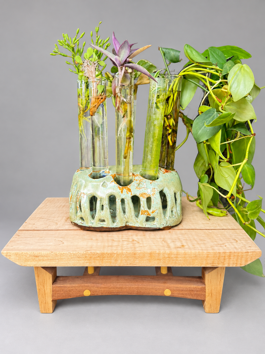 Cream and green ceramic propagation stand with openwork sides and glass tubes holding trailing plant cuttings