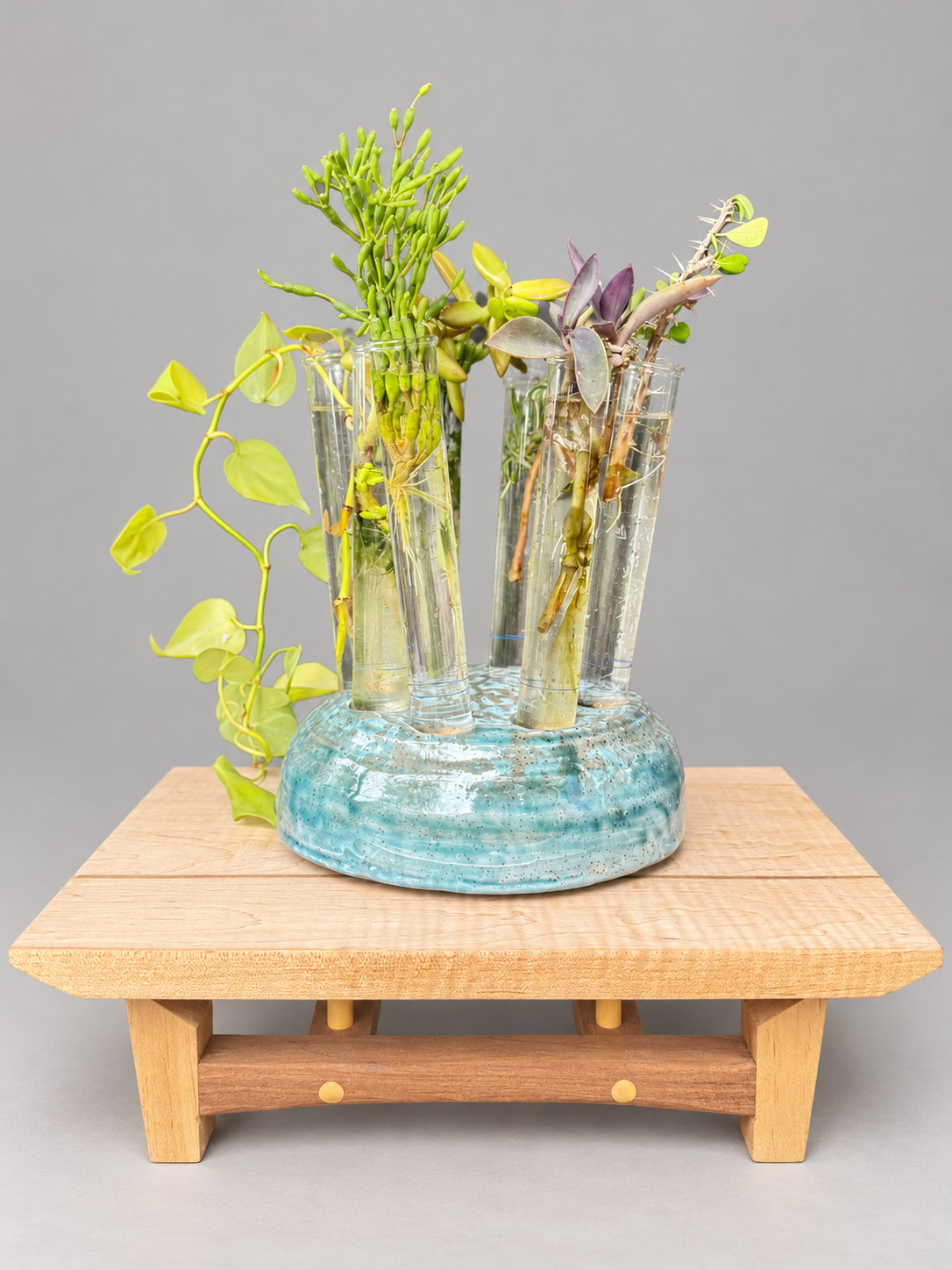 Turquoise-glazed ceramic propagation stand holding glass tubes with plant cuttings